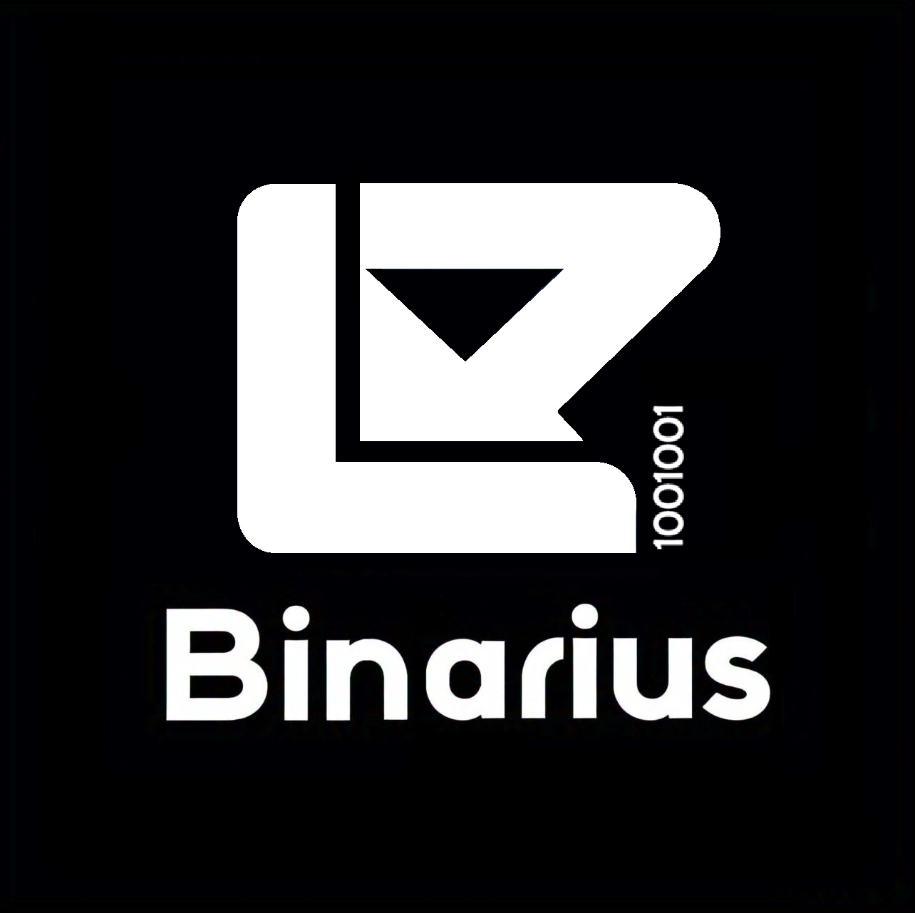 BINARIUS SRL – Empresa de servicios industriales